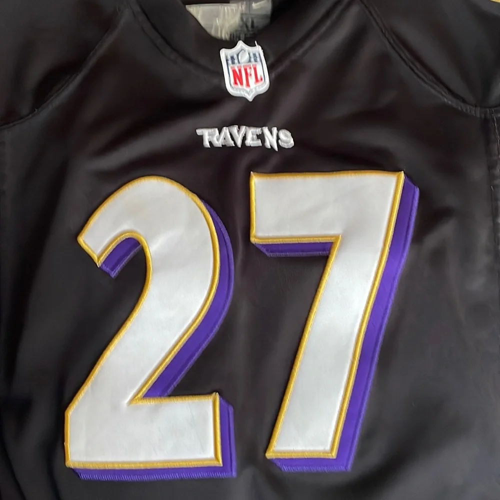 RAY RICE JERSEY - Picture 1 of 6
